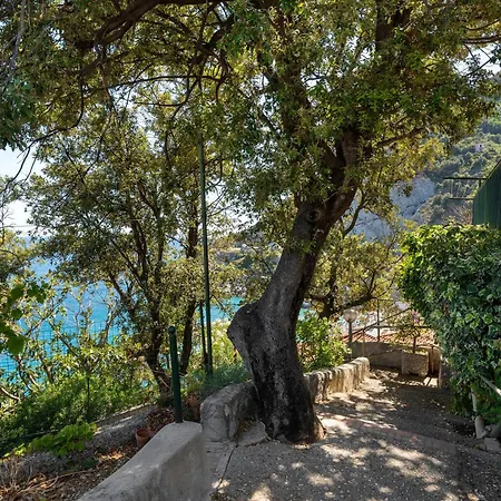 Apartment Blueandgreen Amalfi Coast Maiori